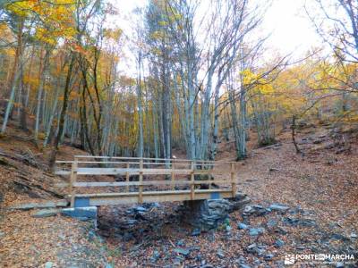 Hayedo Tejera Negra; viajes de verano rutas navacerrada hoces del riaza puente san jose